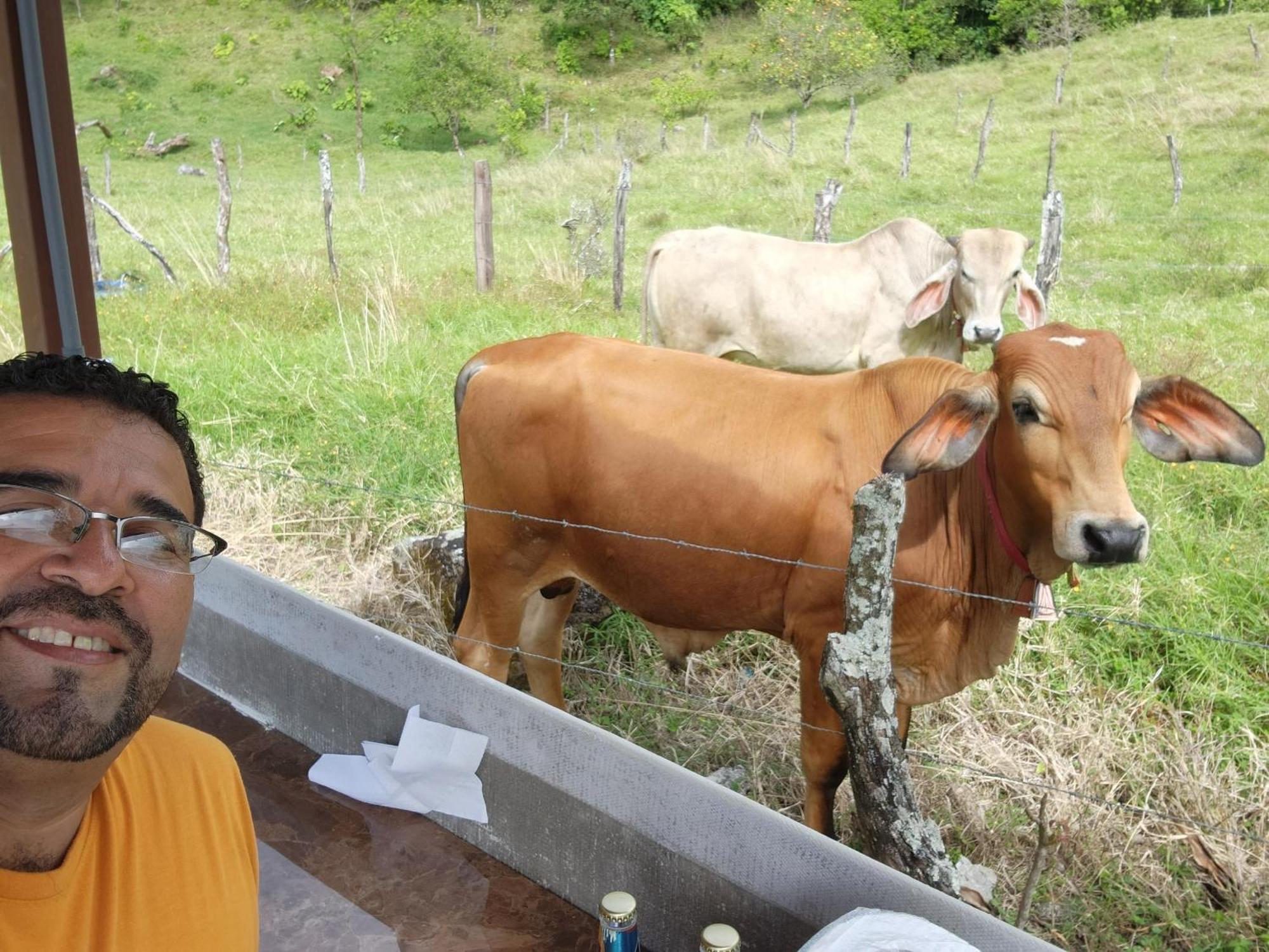 Glamping Monteverde Zewnętrze zdjęcie