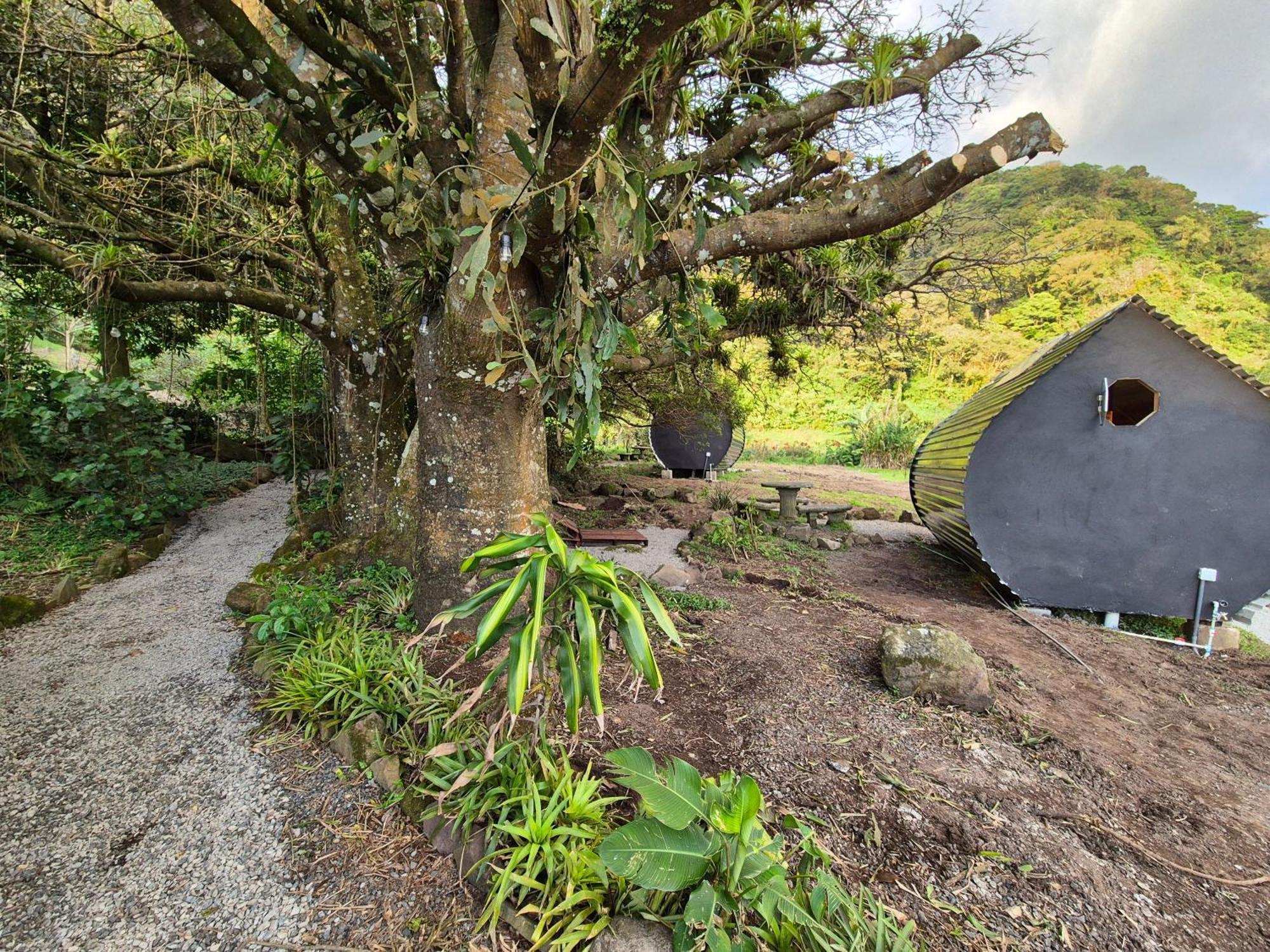 Glamping Monteverde Zewnętrze zdjęcie